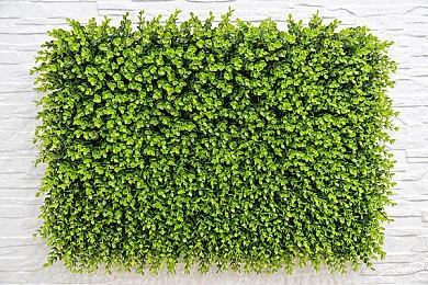 VR游戏《最后的迷宫》非VR版将于5月15日登陆Xbox